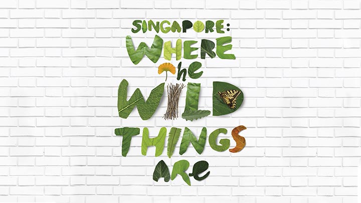 Singapore: Where the Wild Things Are