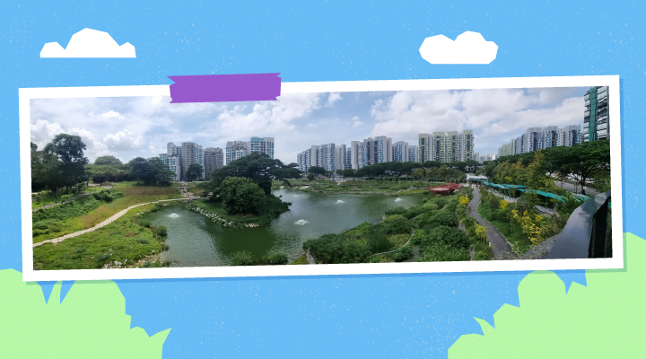 Bidadari Park: A beautiful pond that also manages stormwater