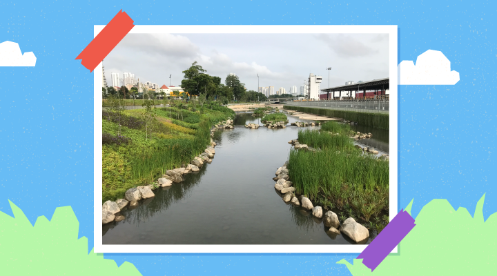 Kallang River: From concrete to scenic waterway