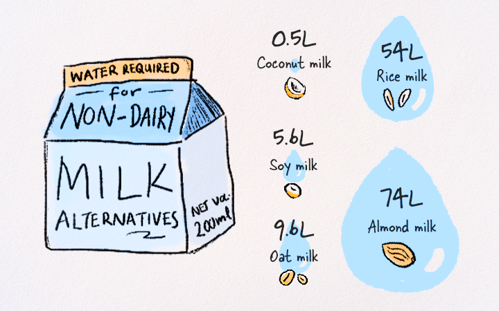 Among non-dairy milk alternatives, coconut, oat and soy milk are among the least environmentally damaging. 