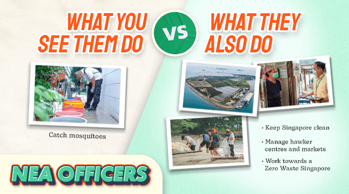 NEA officers besides battling mosquitoes they ensure Singapore remains clean.