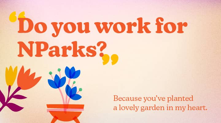 Do you work for NParks?