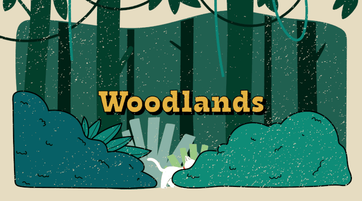 Before its development, Woodlands was occupied by forests and plantations.