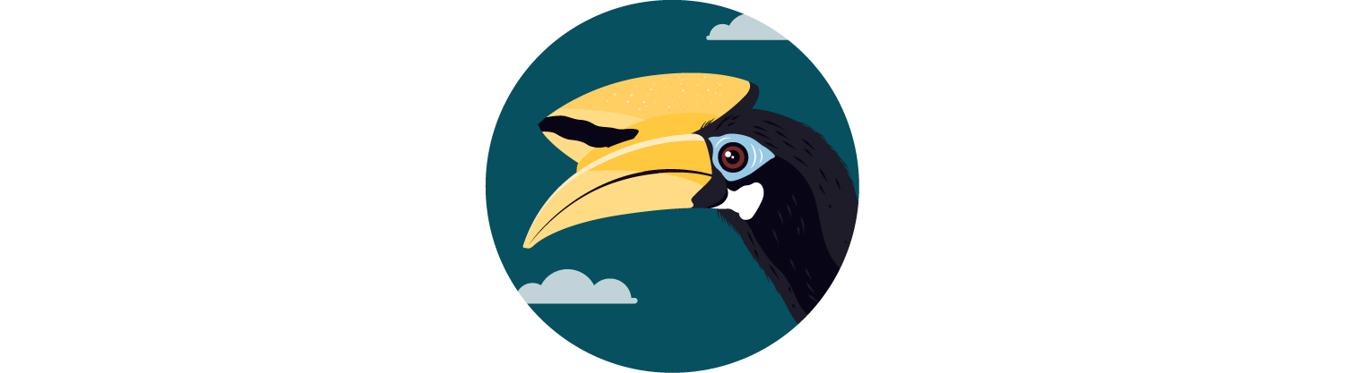 Thanks to conservation efforts, the oriental-pied hornbill has become a common sight.