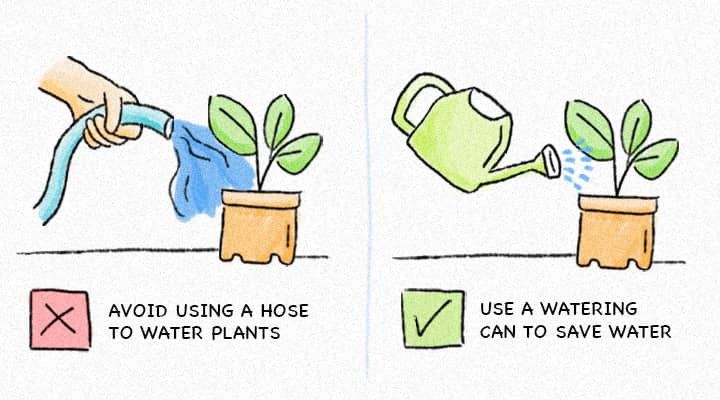For the most water-efficient way to water your potted plants, use a watering can.