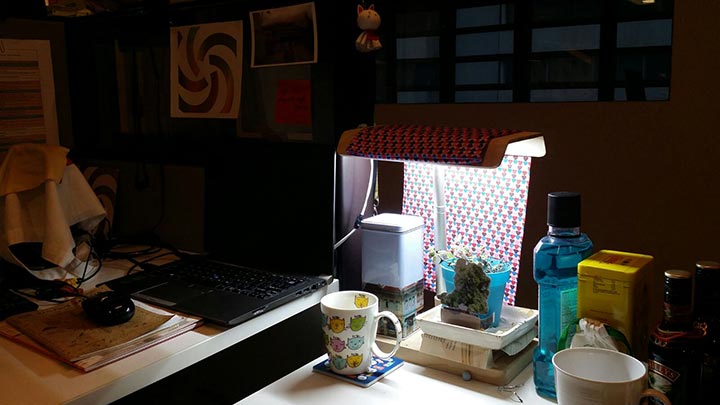 Genine’s cluttered desk featuring a DIY plant-growing lamp.